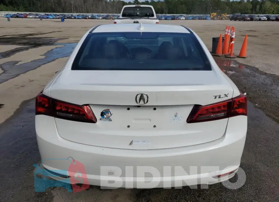 19UUB1F53GA007258 Photo# 6