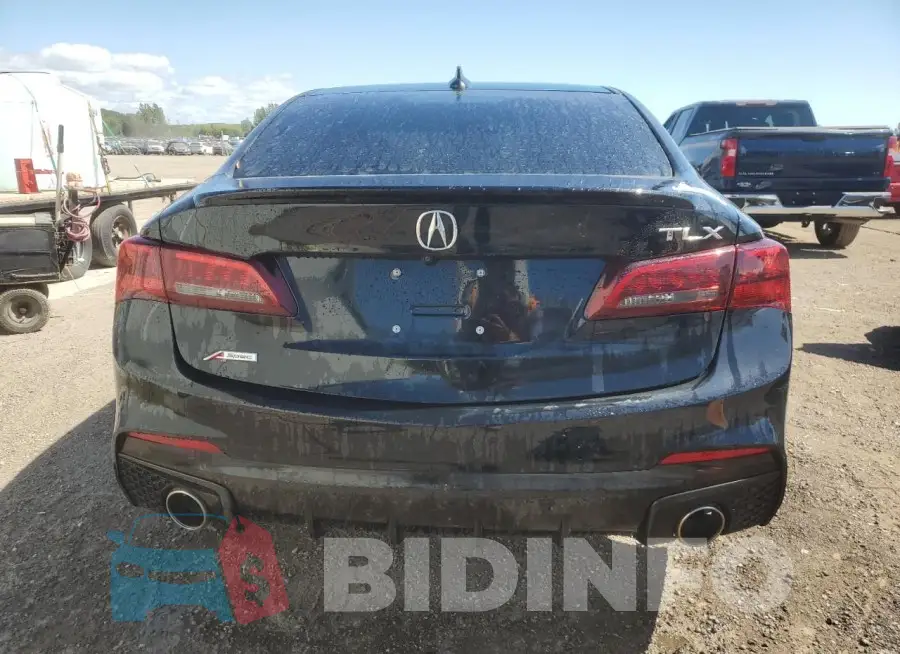 19UUB1F65LA801066 Photo# 6