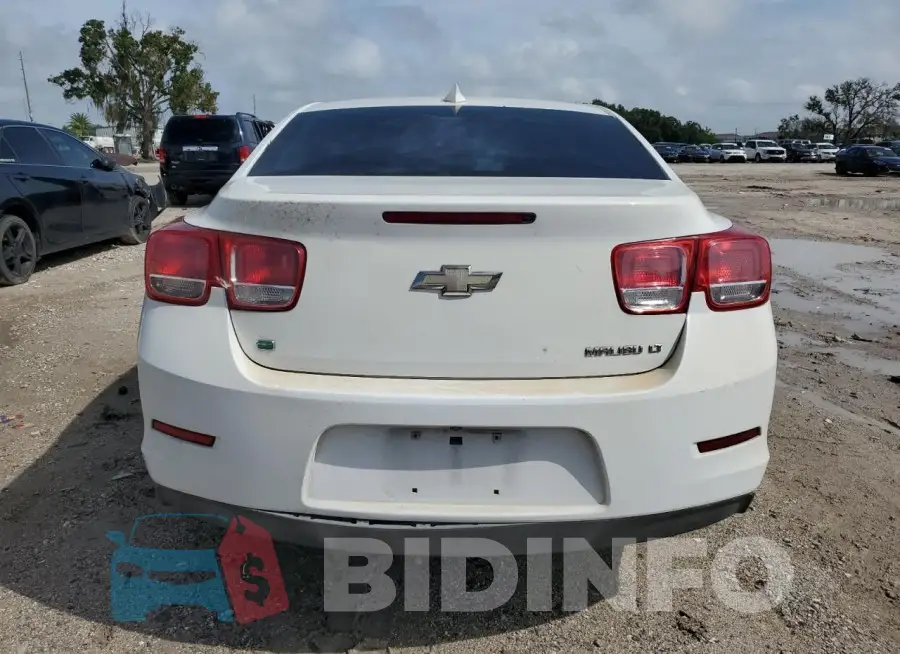 1G11C5SLXFF257651 Photo# 6