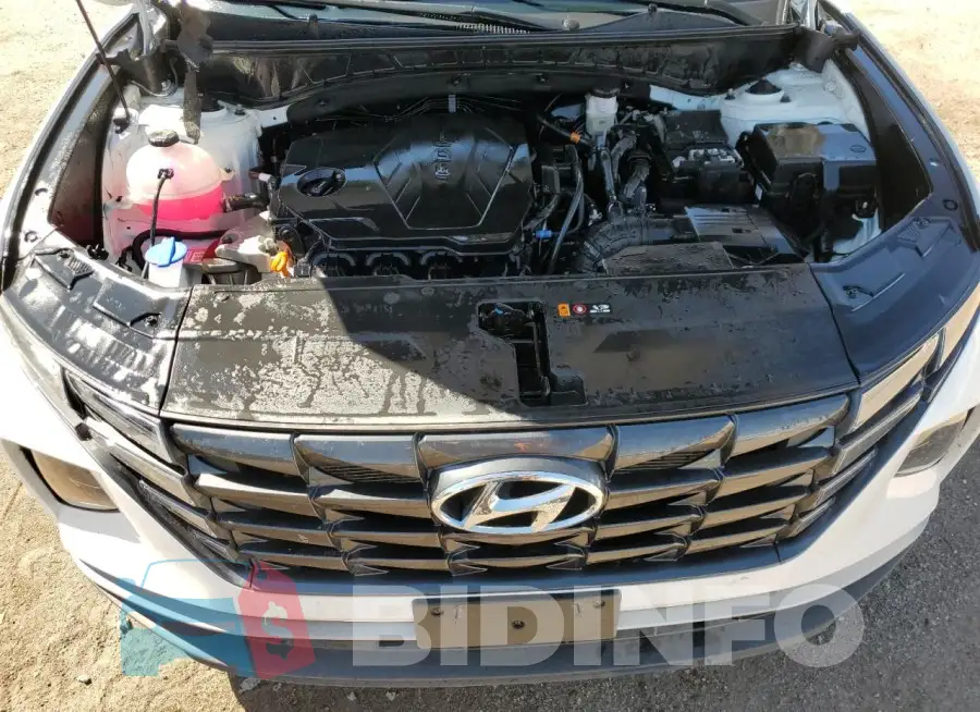 5NMJBCDE3RH338950 Photo# 12