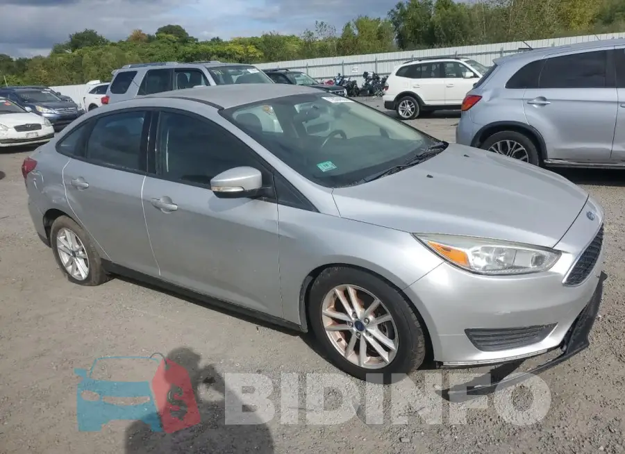 1FADP3F21HL262598 Photo# 4