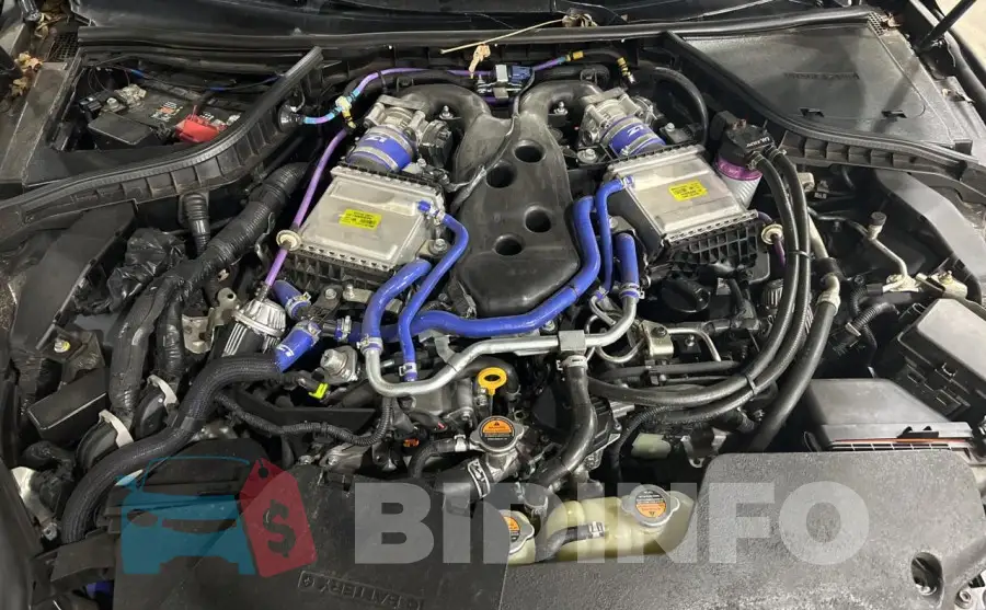 JN1EV7AP8HM737157 Photo# 7