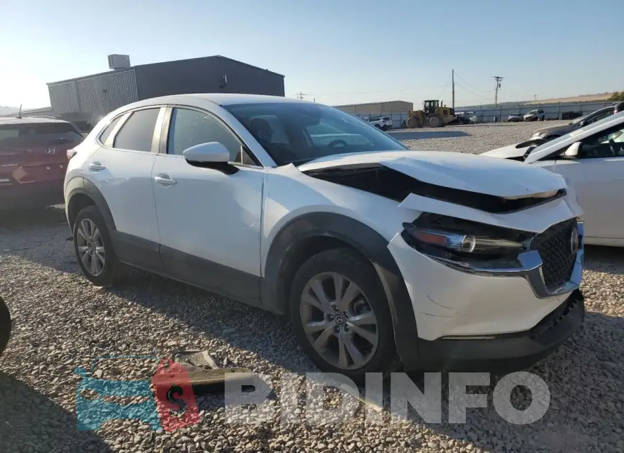 3MVDMBBL2MM317997 Photo# 4