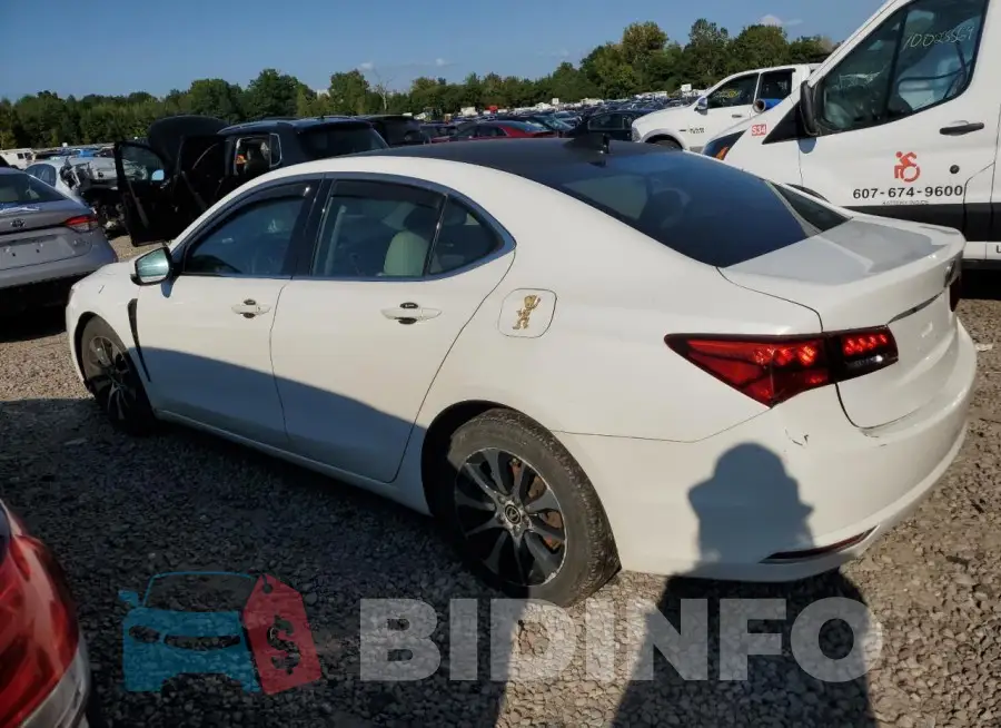 19UUB1F36FA018543 Photo# 2