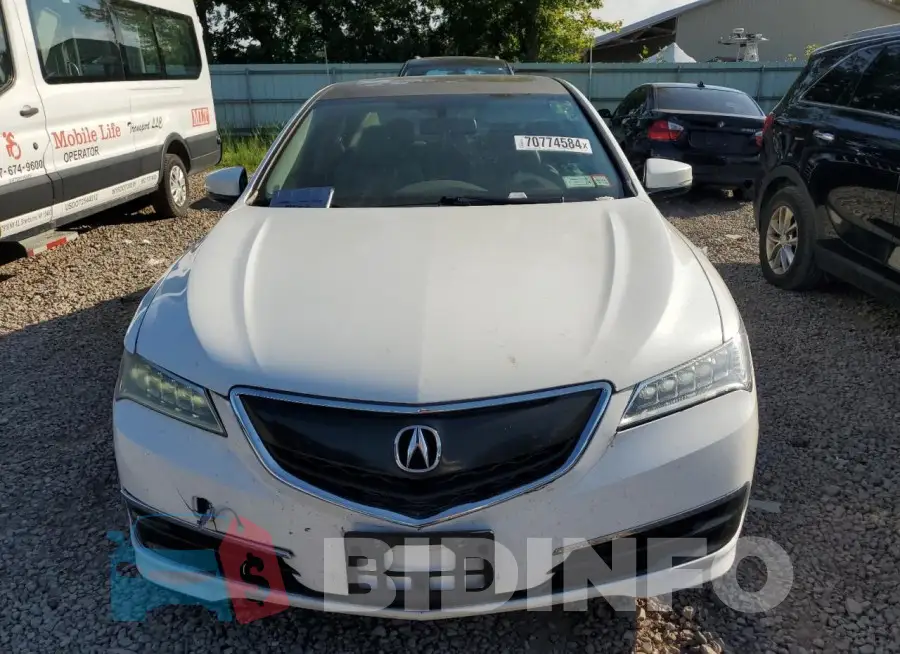 19UUB1F36FA018543 Photo# 5