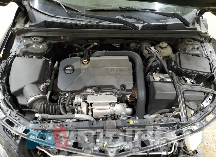 1G1ZD5ST0KF135035 Photo# 11