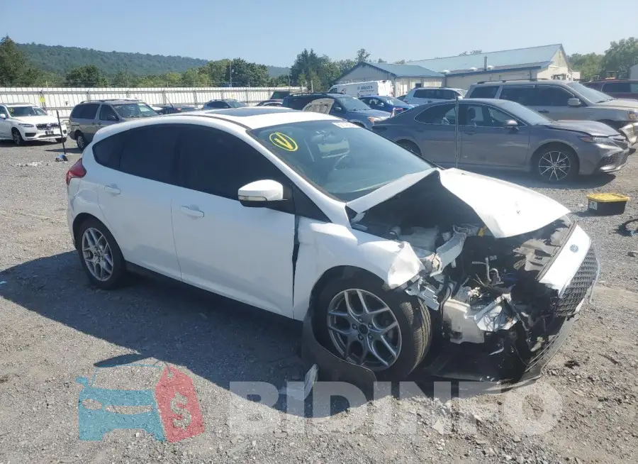 1FADP3K23FL291281 Photo# 4