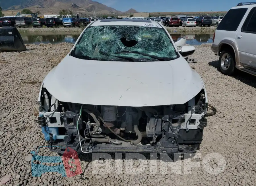 19XFC2F78HE069667 Photo# 5
