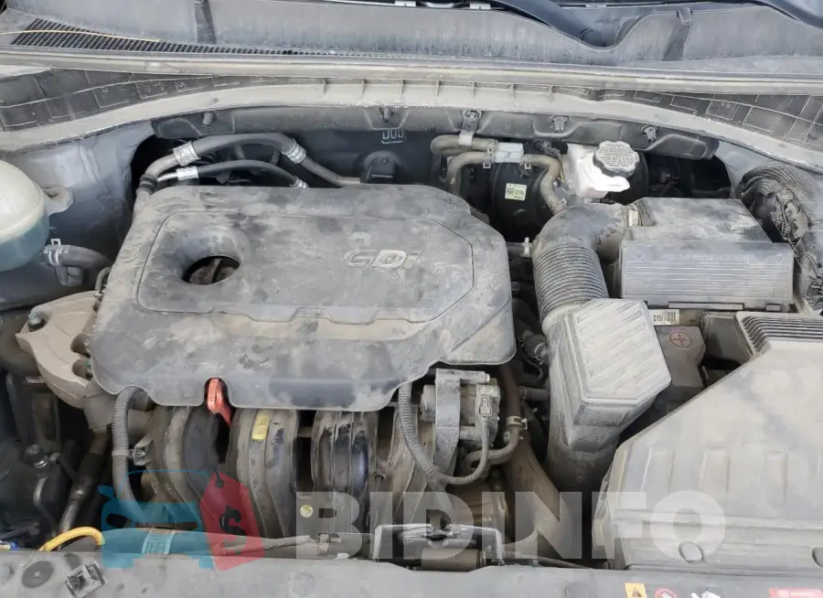 KNDPMCAC2M7864879 Photo# 12