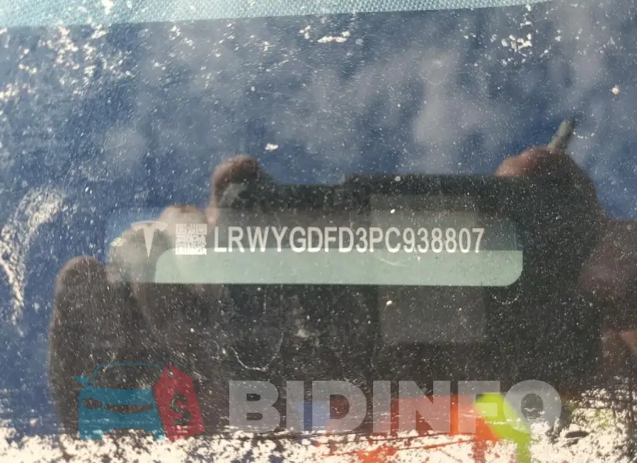 LRWYGDFD3PC938807 Photo# 12
