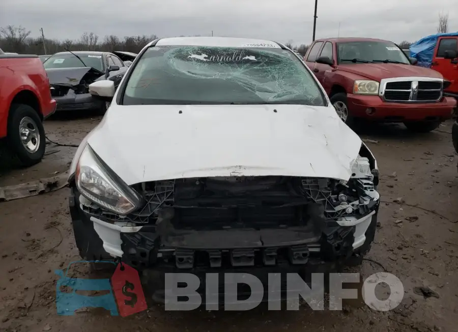1FADP3F2XGL365307 Photo# 5