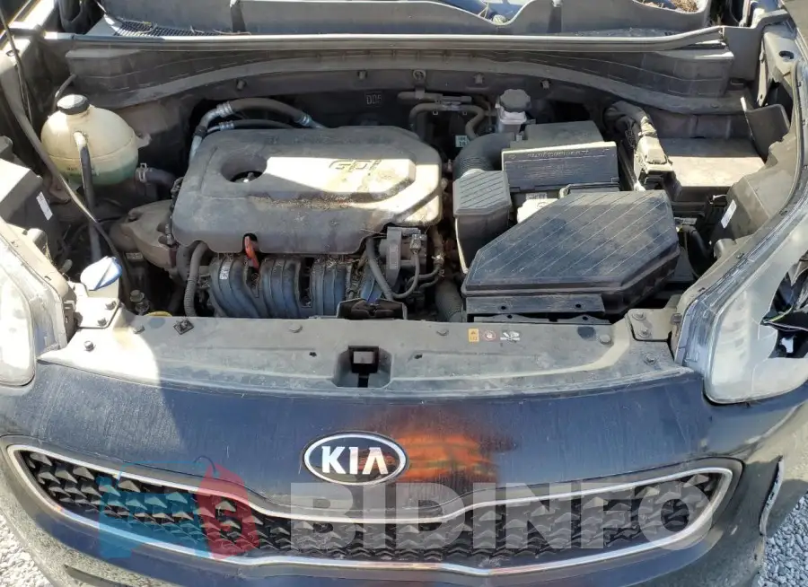 KNDPM3ACXH7218334 Photo# 12