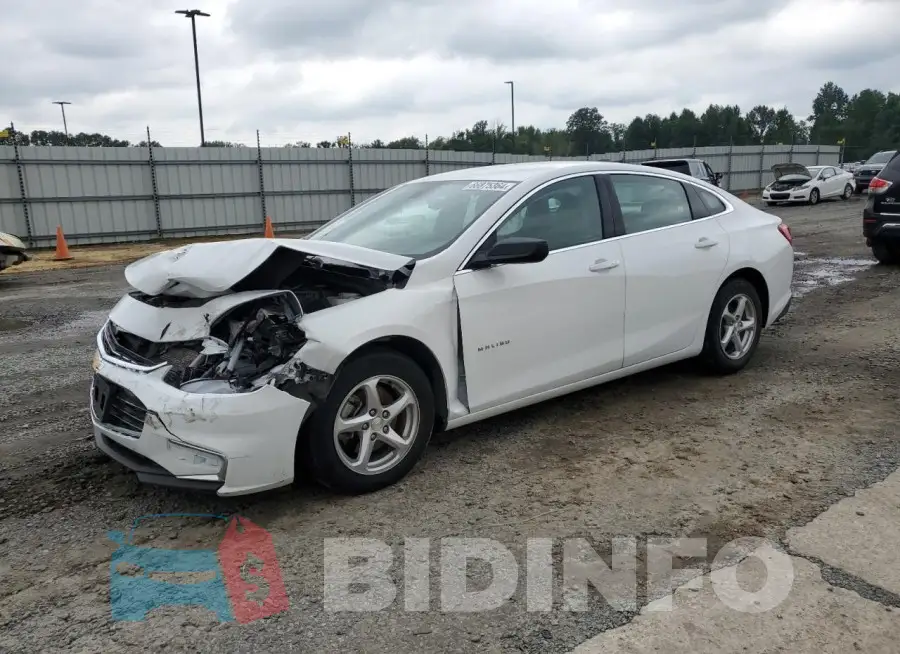 1G1ZB5ST6HF290557 Photo# 1
