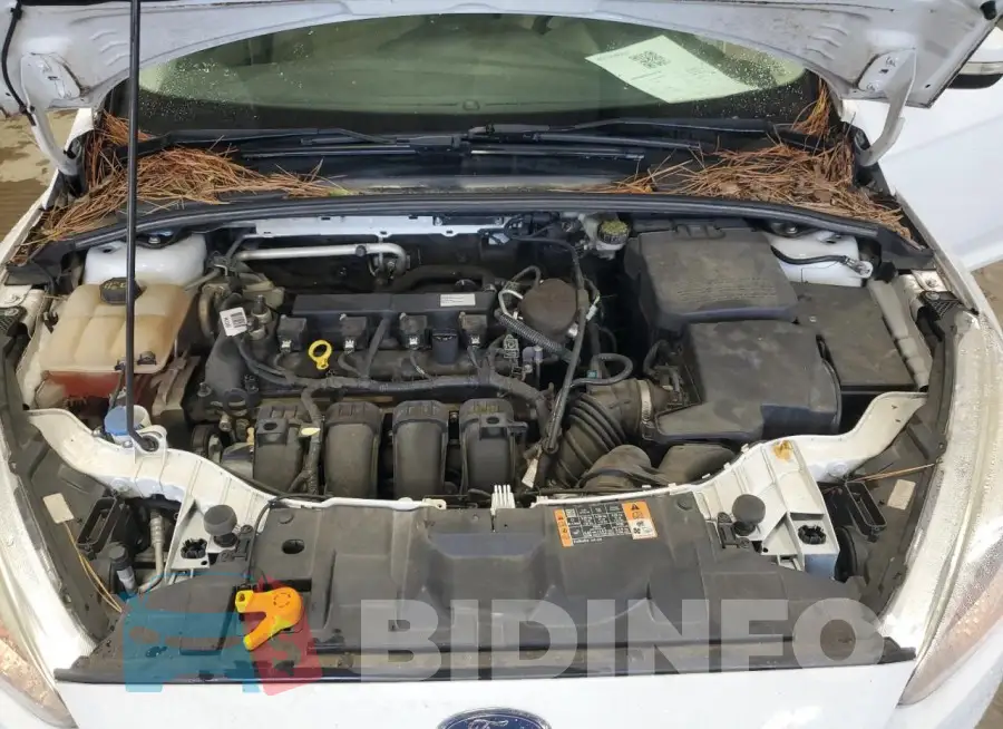 1FADP3F25GL205061 Photo# 11