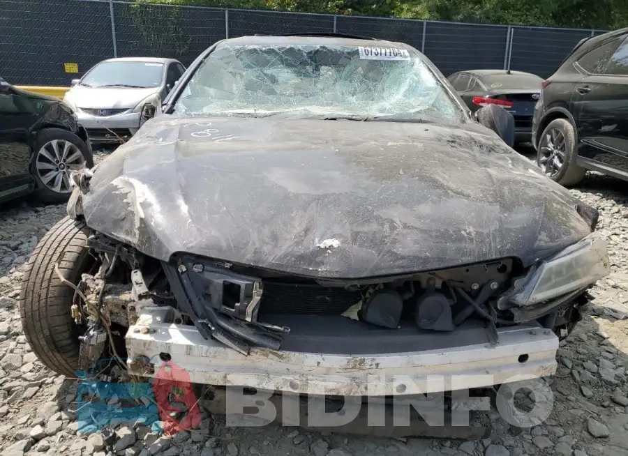 19UUB2F31FA005270 Photo# 5