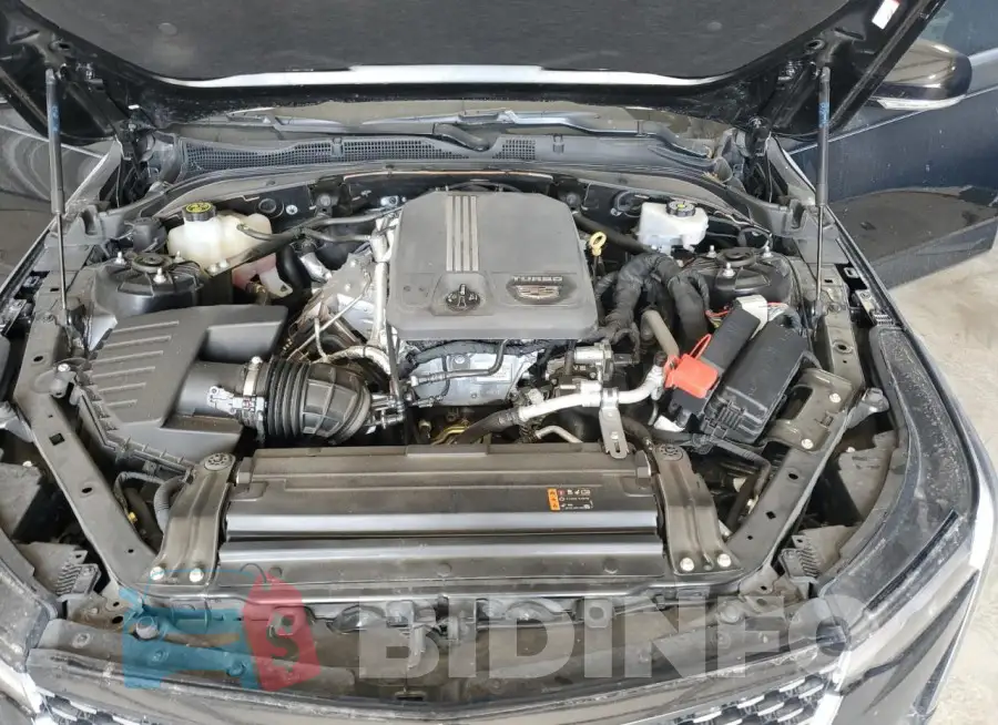 1G6DB5RK2L0136778 Photo# 11