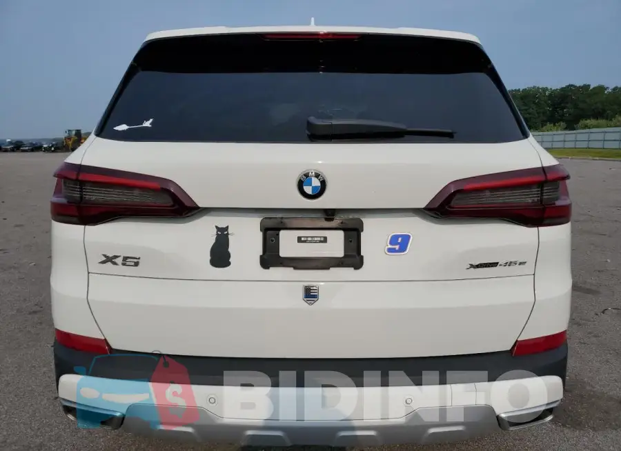 5UXTA6C03M9E75363 Photo# 6