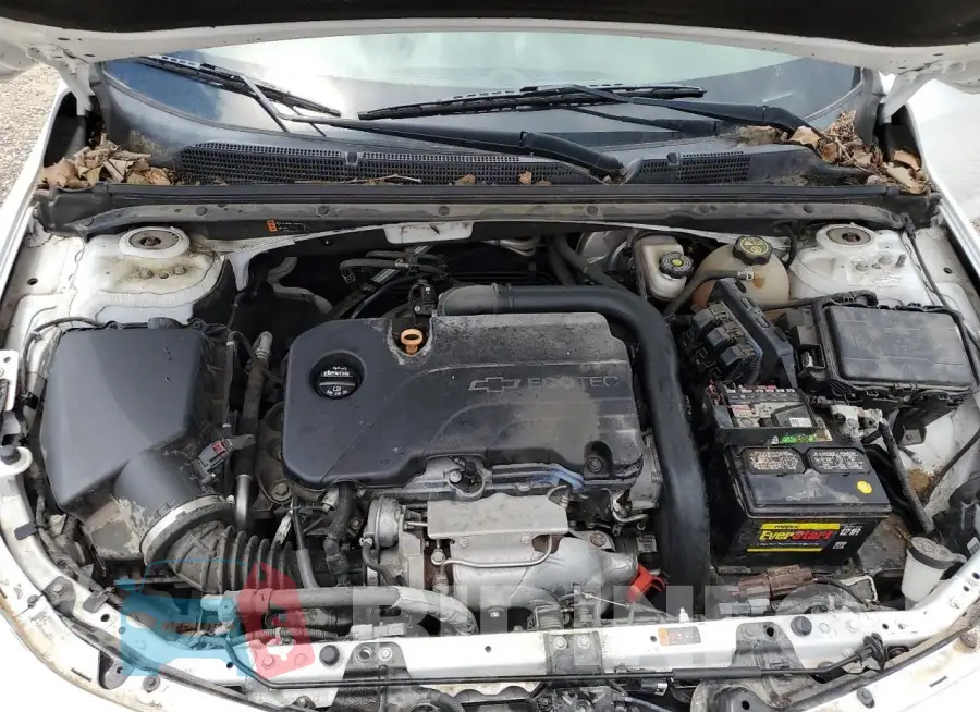 1G1ZB5ST0HF247591 Photo# 11
