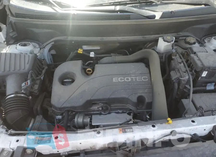 2GNAXKEV2L6205581 Photo# 11
