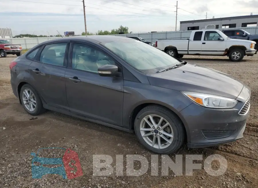 1FADP3F24GL262884 Photo# 4