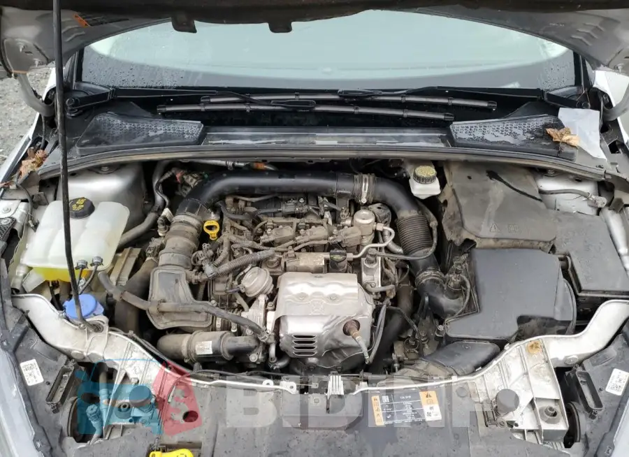 1FADP3FE0HL285199 Photo# 11