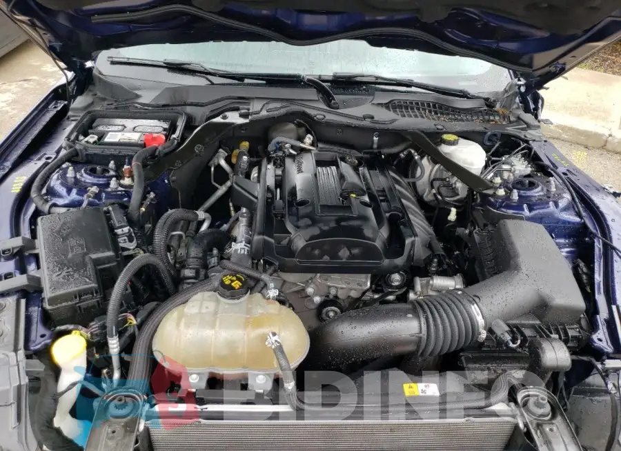1FATP8UH7J5117866 Photo# 11
