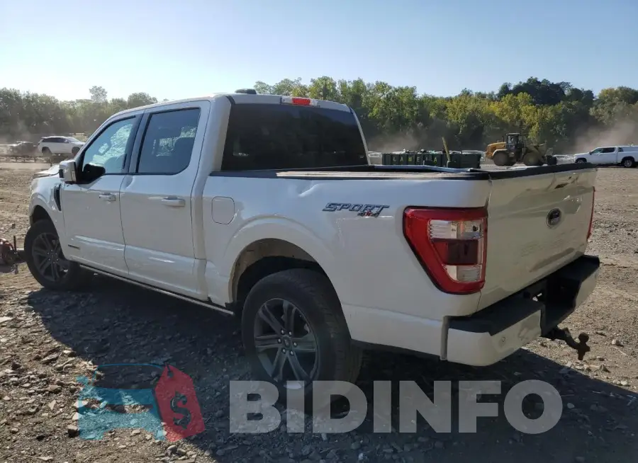 1FTFW1EDXPFD02199 Photo# 2