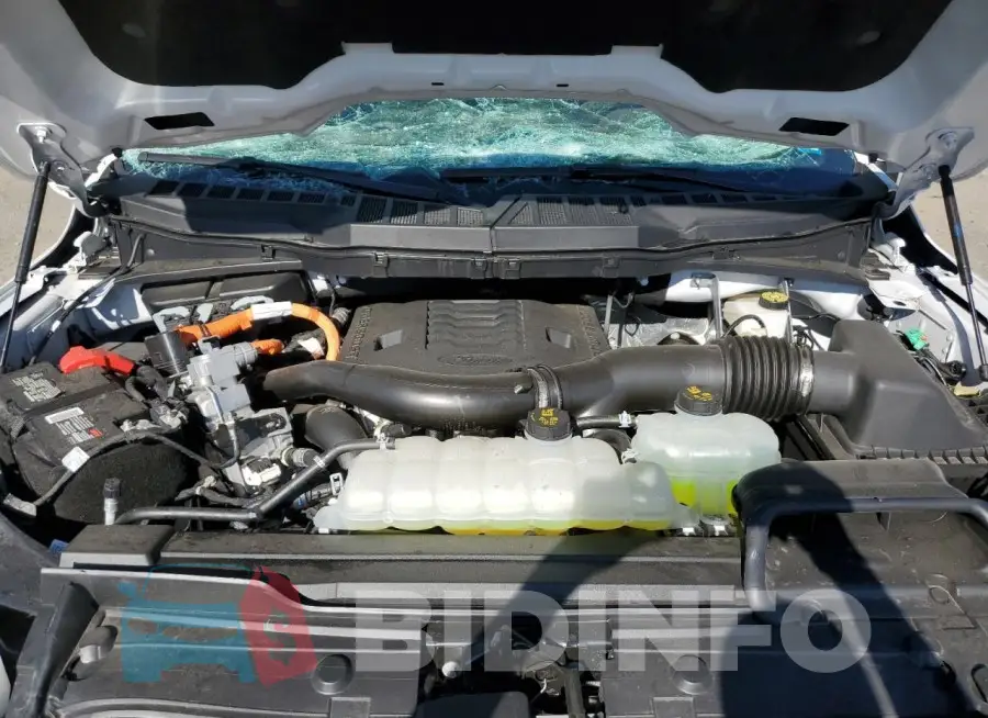 1FTFW1EDXPFD02199 Photo# 11