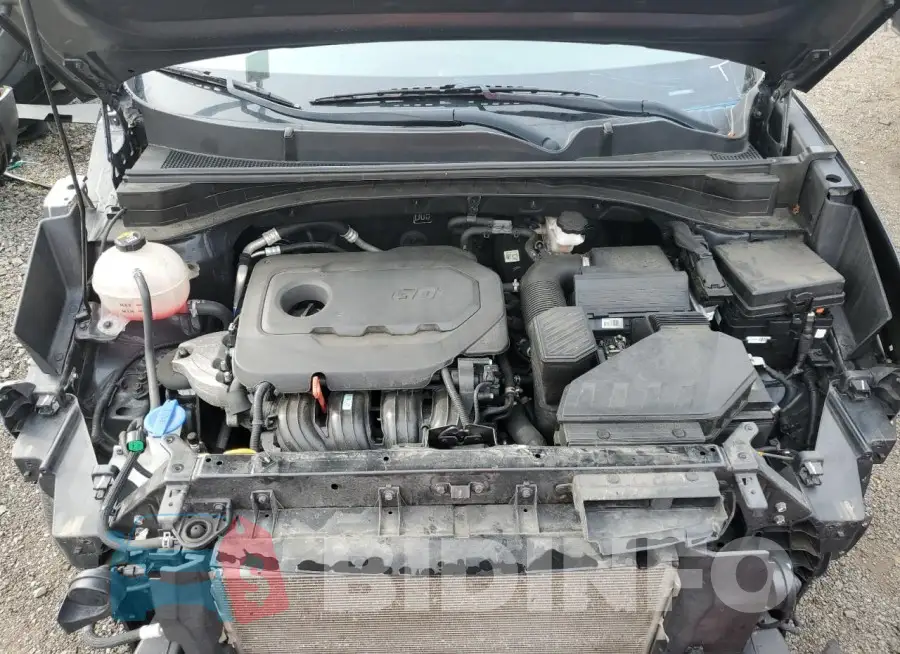 KNDPMCAC9M7897555 Photo# 12