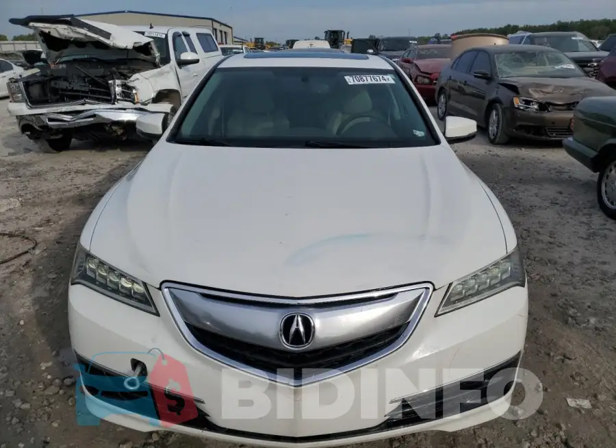 19UUB1F35FA016816 Photo# 5