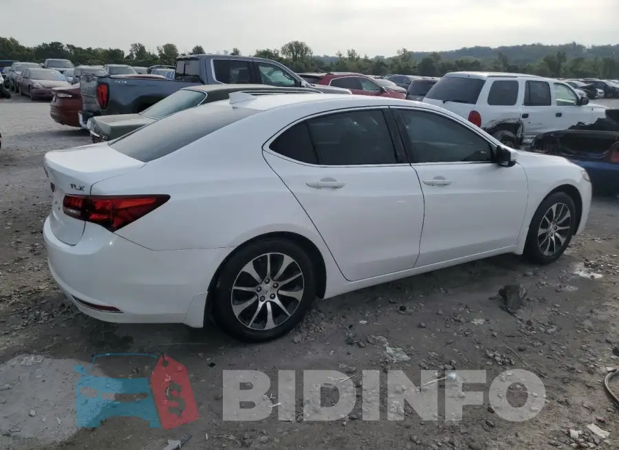 19UUB1F35FA016816 Photo# 3
