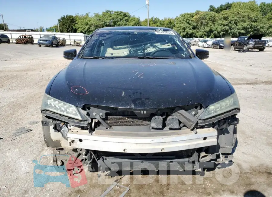 19UUB2F52FA008857 Photo# 5
