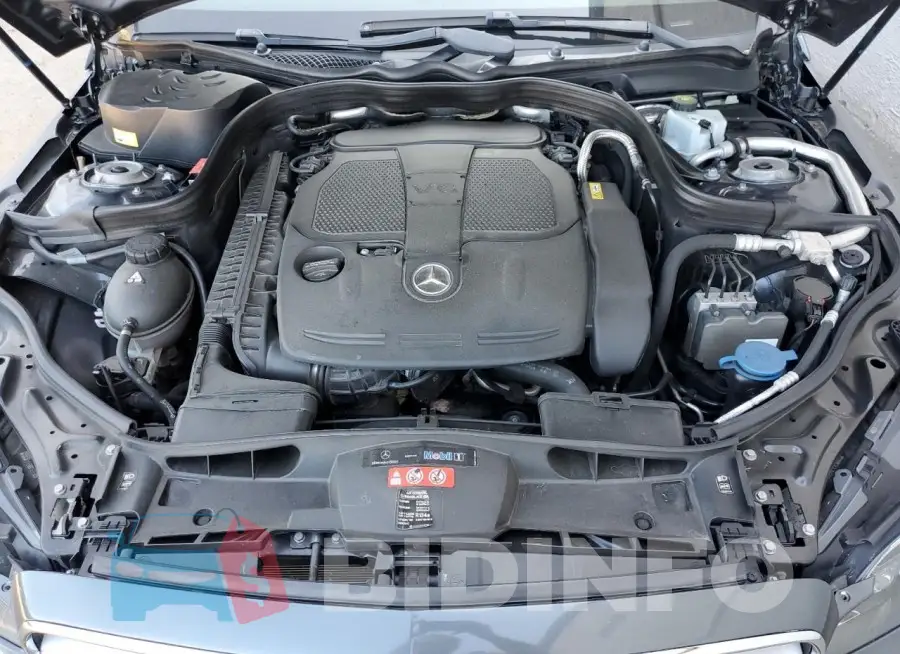 WDDHF8JB7FB093716 Photo# 11