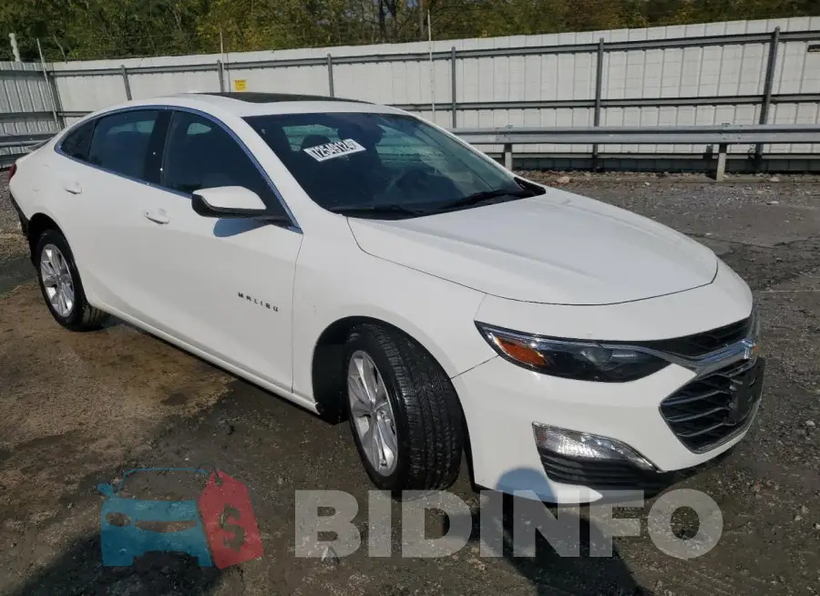 1G1ZD5ST0RF236666 Photo# 4