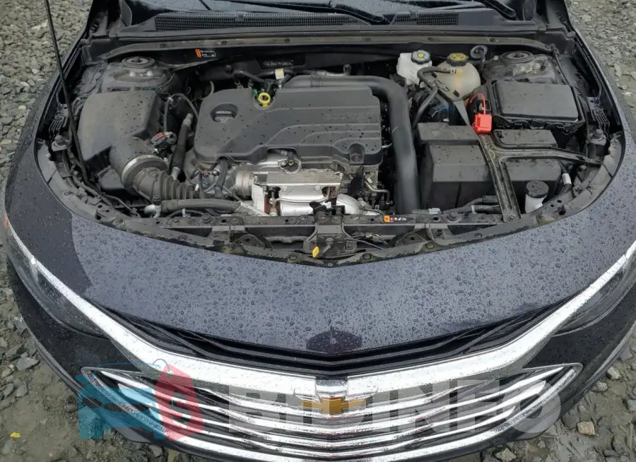 1G1ZD5ST7PF189813 Photo# 11