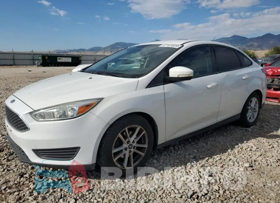 1FADP3F29GL255607 Photo# 1