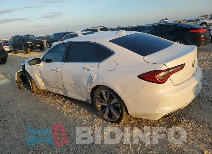 19UUB5F65MA003742 Photo# 2