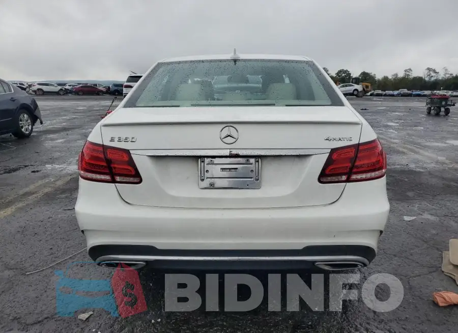 WDDHF8JB3FB166256 Photo# 6