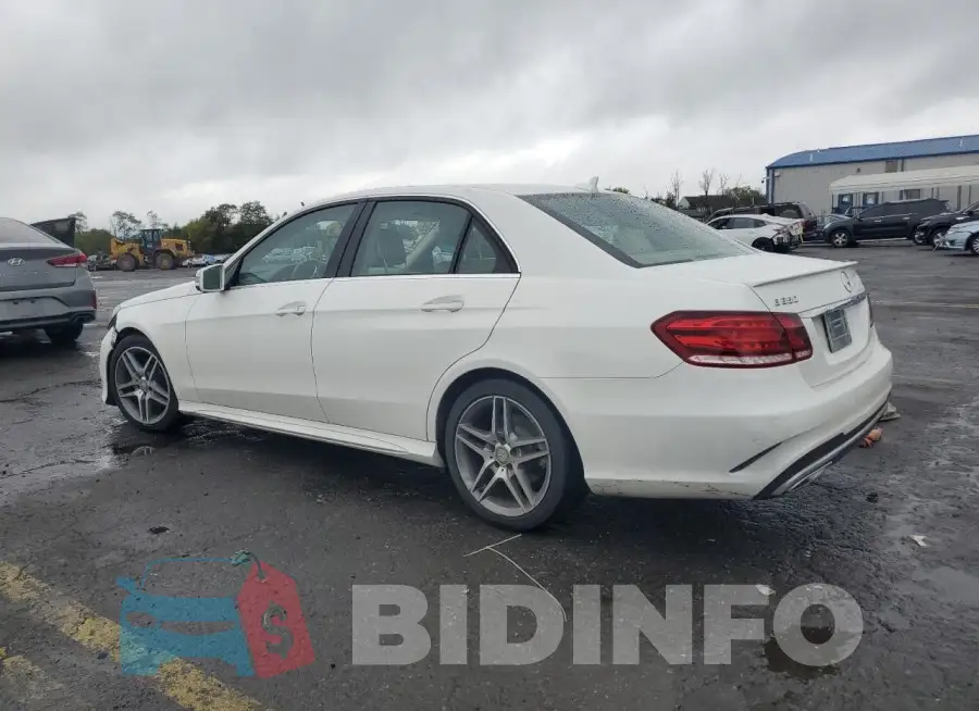 WDDHF8JB3FB166256 Photo# 2
