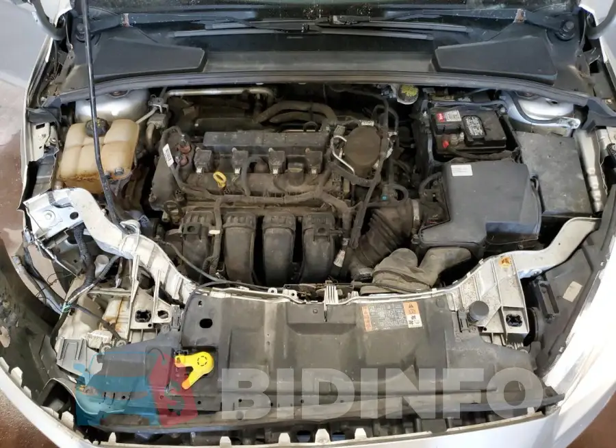 1FADP3F26GL300079 Photo# 11