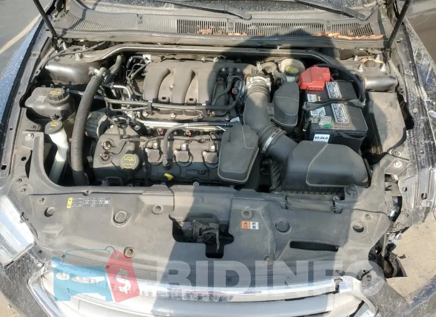 1FAHP2E81HG125509 Photo# 11