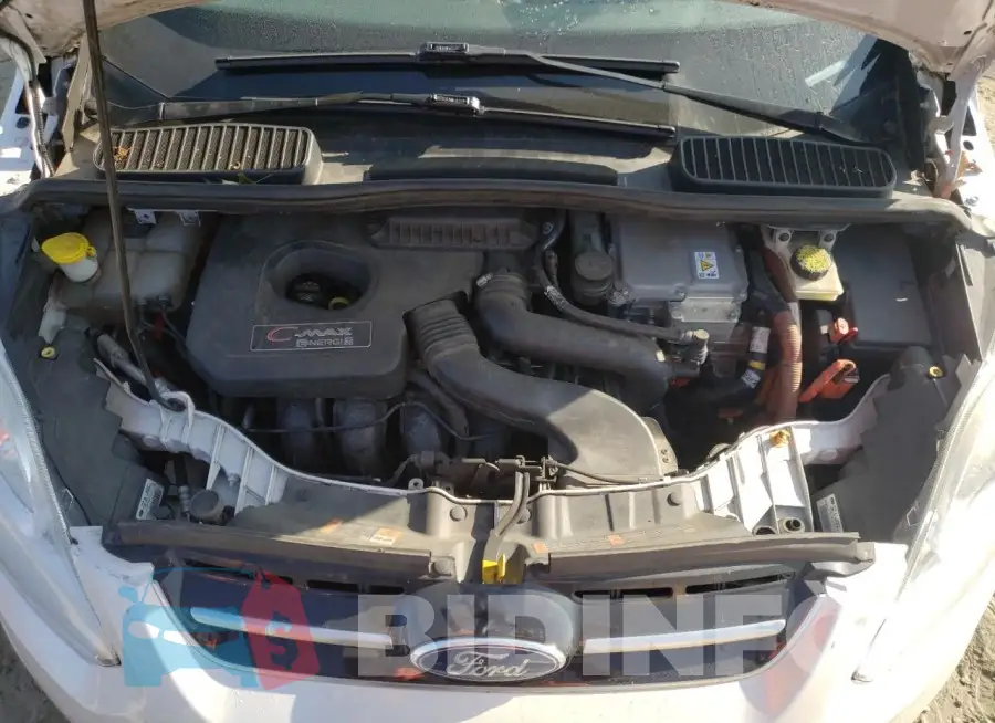 1FADP5CU2FL113115 Photo# 11