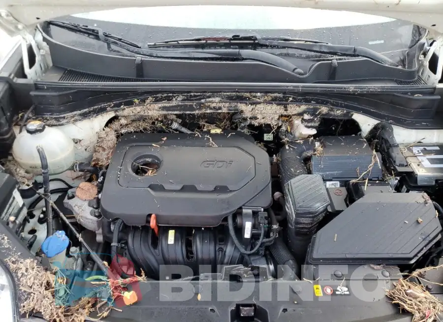 KNDPM3AC3J7343343 Photo# 11