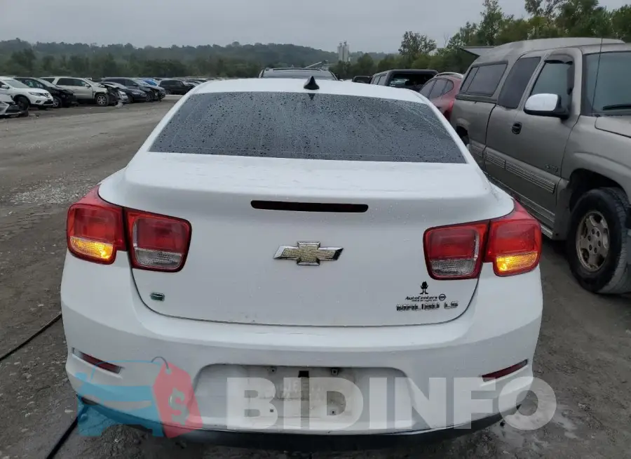 1G11B5SL6FF288270 Photo# 6