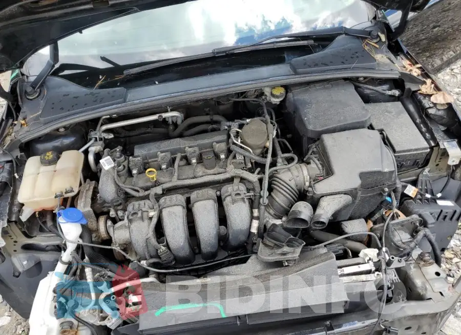 1FADP3F21GL240129 Photo# 11