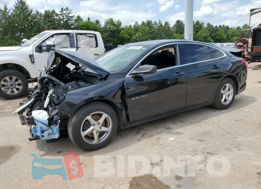 1G1ZB5ST1HF249074 Photo# 1