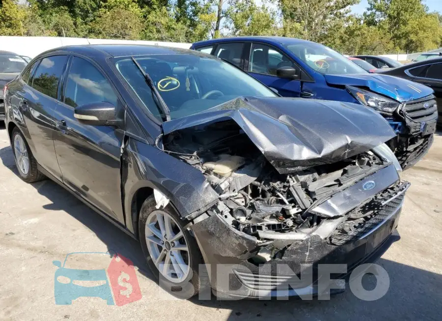 1FADP3F22GL238244 Photo# 4
