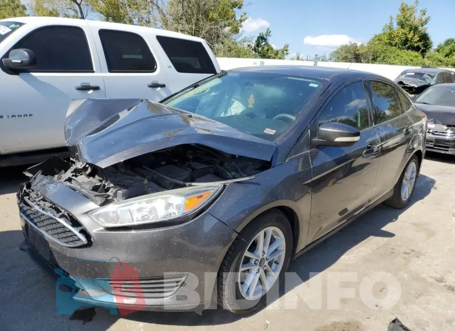 1FADP3F22GL238244 Photo# 1