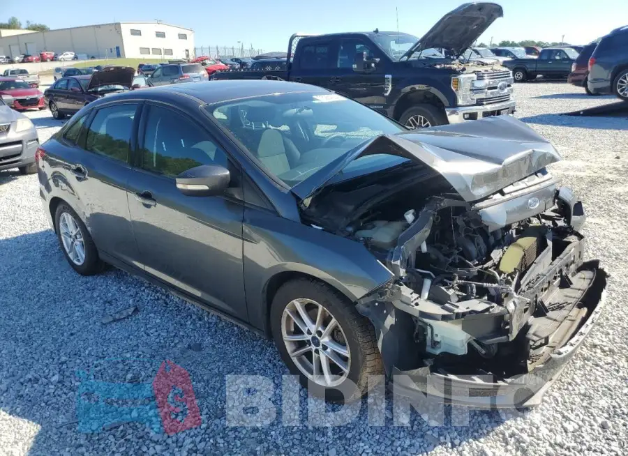 1FADP3F23GL203714 Photo# 4
