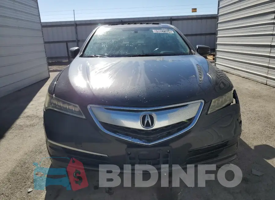 19UUB1F36FA029591 Photo# 5